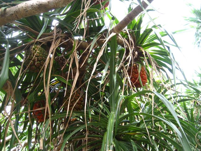 ここにも見ーつけた！