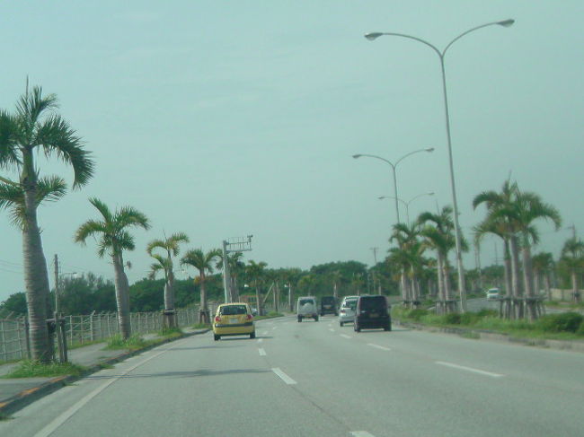 ここは日本ですか？！