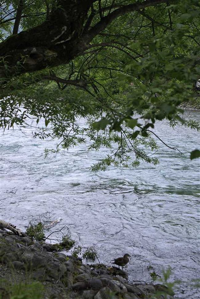 あっ　あれを見て下さい<br /><br />（もう その あっにはダマされへん）<br /><br />へー　あれを見ないんですか　もったいないなぁー<br /><br />（んっ　何をや）<br /><br />やっぱり気になるんじゃないですか<br /><br />（いちいち　うるさい　どれや）<br /><br />あそこです　何でしょう<br /><br />（カモとちゃうか）<br /><br />カモさーん　コッチにカモ〜ン<br /><br />（そんなんで来るかぁー）