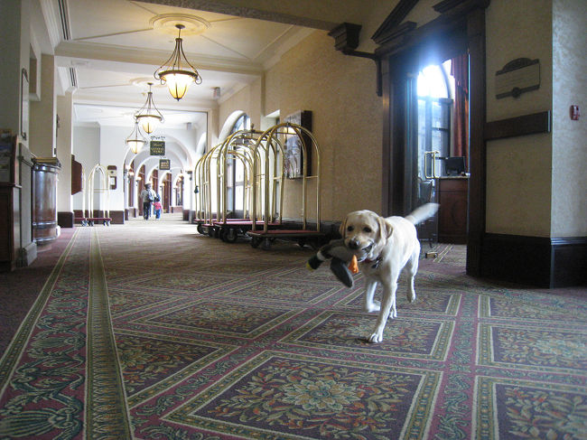 ホテルのマスコット