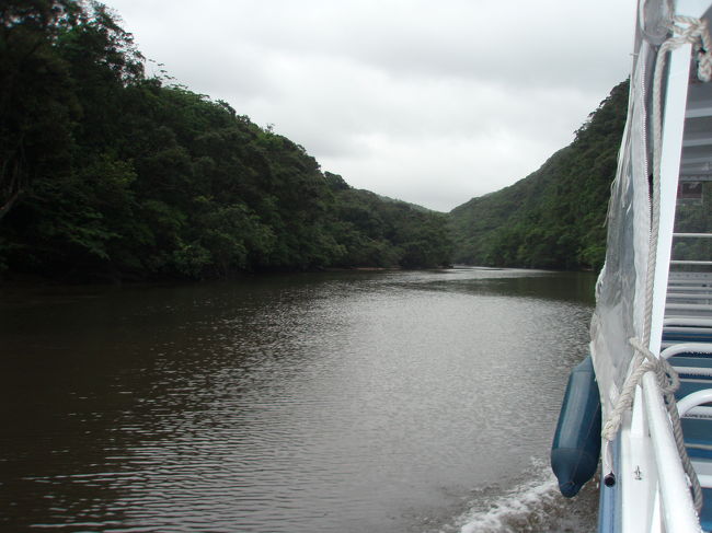浦内川のクルーズ。<br /><br />悪天候・軽装のためトレッキングは断念…<br />もったいなかったな〜<br /><br />今度こそ！