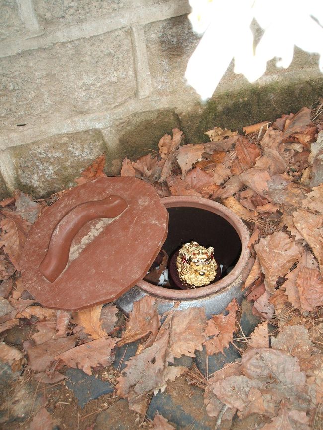 にわか仕込みの私にはこれが何なのか解らず。。。