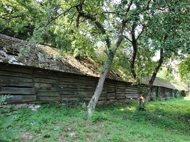 山上の教会へと続く、有名な木造の屋根付き階段です。屋根は何度も張り替えたのでしょうが、結構傷んでいました。道路もいたるところ工事中（石畳張り替え？）だし、修復が追いついていないのでしょうか。