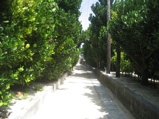 集落は美しい白砂の道路で、きれいに掃かれています。<br />それは・・・