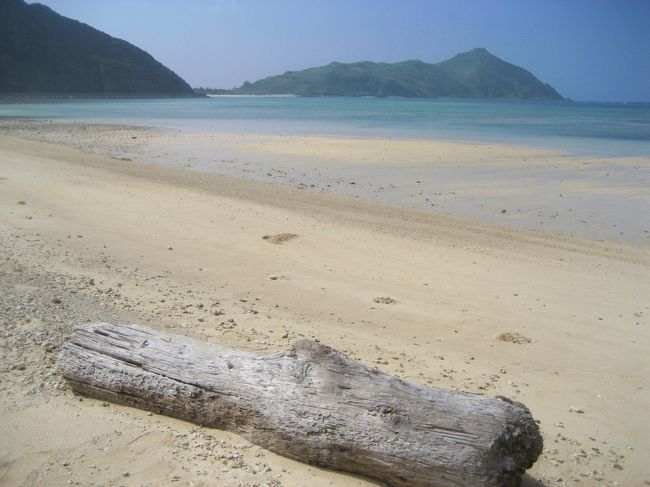 映画のロケ地「アンジェラ浜」に到着！<br />主人公たち３人が腰掛けた流木が今も残されています。