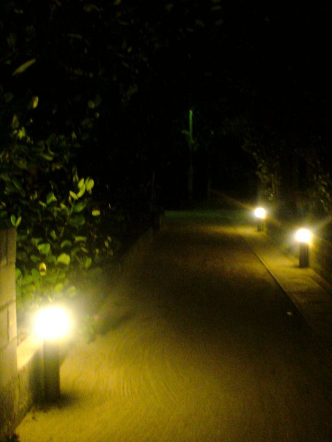 夜になると道路脇のフットライトが灯ります。<br />ずっとフットライトが続く道路はなんだか幻想的でした。