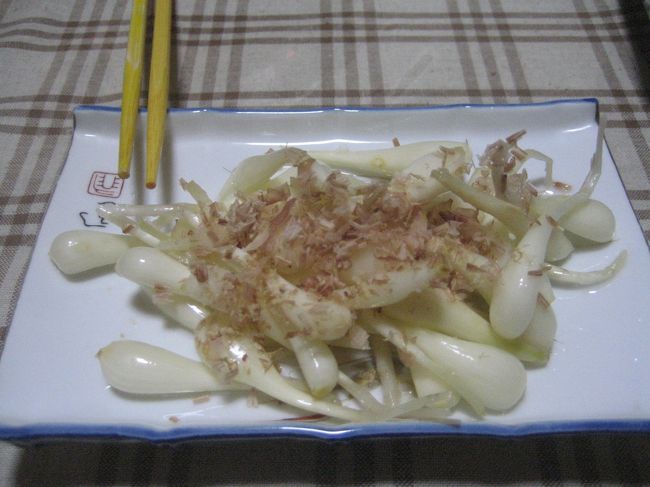 隣の居酒屋へ。<br />女主人と長くおしゃべり。<br />定番の島らっきょうをつまみにオリオンビールを頂く♪<br />沖縄ではやっぱりオリオンビール、<br />オリオンビールはやっぱり沖縄で飲むのがうまい！