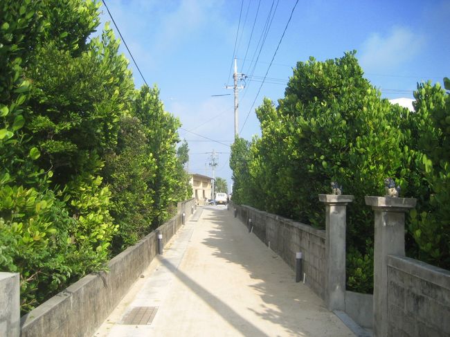 今朝は日の出の時間は曇っていたものの、<br />だんだん晴れてきました。<br />白砂道路とフクギの緑と青空。<br />本当に素敵です！