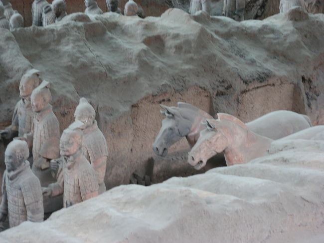 馬も立派です。