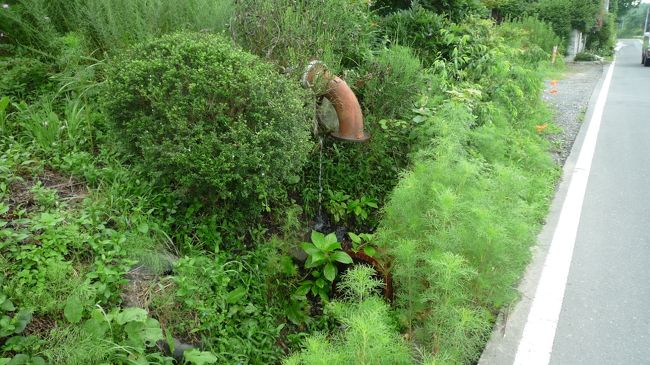 　ガキの頃、蛍を捕ったスポットかも。<br /><br />　動画：http://vision.ameba.jp/watch.do?movie=1850377