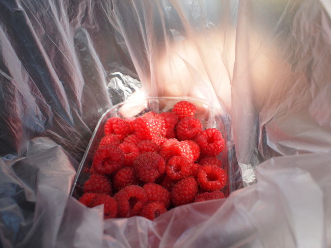 先程買った、ラズベリーとアメリカン・チェリーの画像を撮ります。