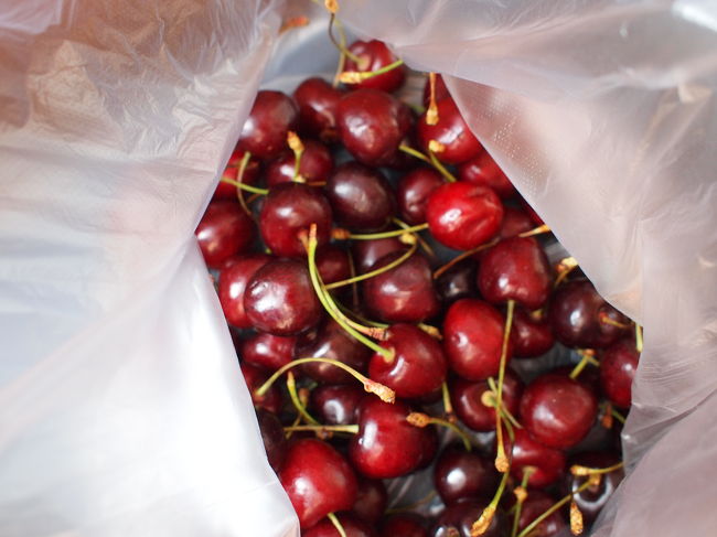 スペイン行きの飛行機に乗る、<br />夕方までには消費しなくてはなりません。<br /><br />よって、これらが今日のお昼ご飯になる予定です。