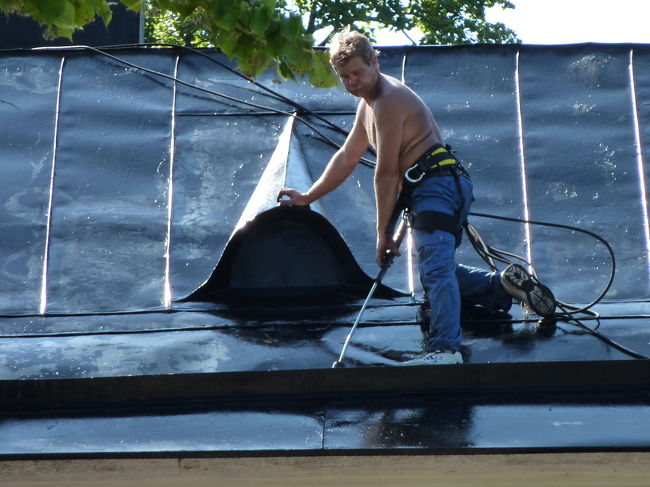 一旦目を、<br />＜フィンランド・働くお兄さん・スオメンリンナ編＞<br />に移しましたが、<br /><br />やっぱり、先ほどの集団が気になります。