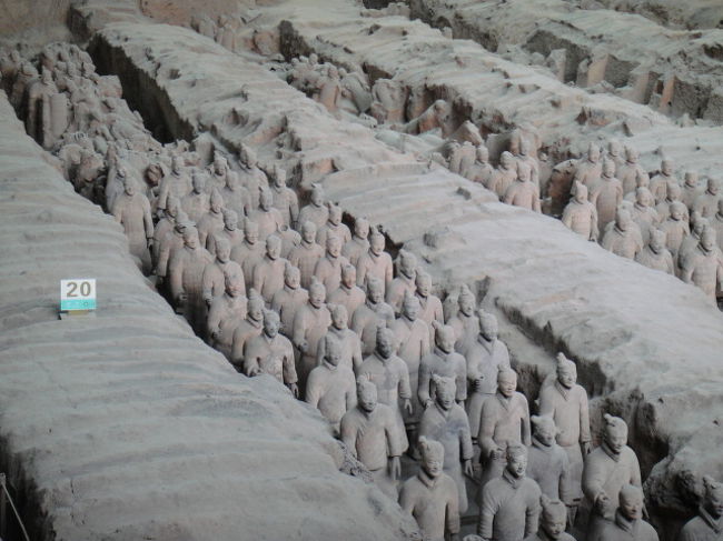 溝にびっしり並べられていて窮屈そうです。