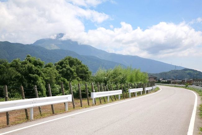 伊吹山西面<br /><br />やっぱり山頂は雲の中・・。<br />この日、時間とともに山頂の雲は<br />厚くなるばかりのようでした。<br /><br />さて、ではこれより<br />長浜の湖岸道路に向かいます。