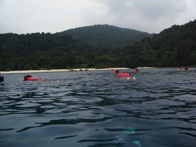 昨日と比べて、みんなはかなり遠くまで泳いでいます。Lily(姉)とLaurel(弟)より、小さい子供はいませんでした。<br /><br />マリンパークじゃないので、フィンはOKのようでした。