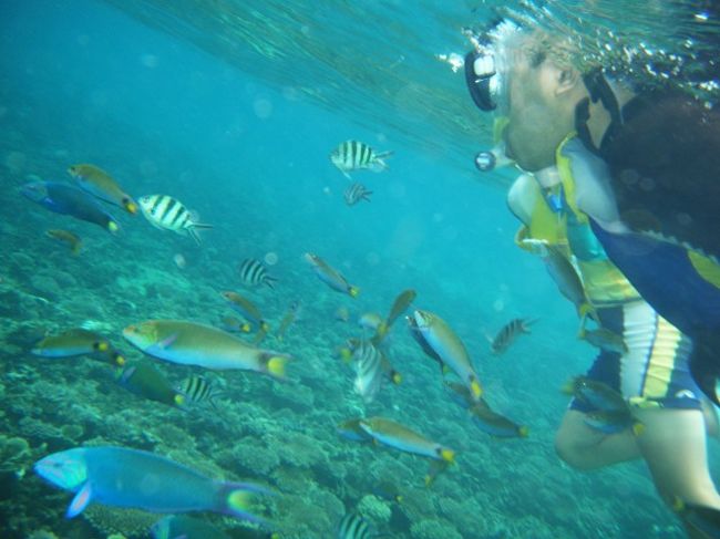 魚もいっぱいです。<br />しかも、ひとまわり大きいかも･･･