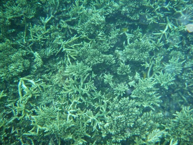 ここも･･･元気!?