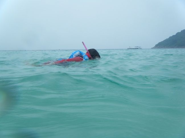 天気も回復し、Lily(姉)ものんびり?!泳いでいます。<br /><br />昼食も大好きなピザを食べたので、絶好調のようです。