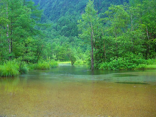 田代池<br /><br />六百山や霞沢岳等からの伏流水によって養われている田代池も昭和５０年の夏の大雨によって大量の土砂が流れ込み池の半分が埋まりました。<br /><br />この池も水草等が積もって埋まりやがては湿原になっていく運命にあるようです。