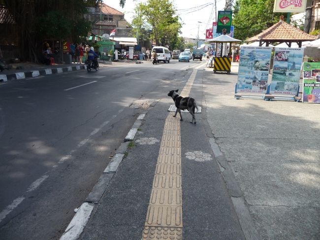 お犬さんも暑い中せっせと歩いてます。<br />後で聞いた話なんだけど、こうゆう犬って基本的に飼い犬なんだってね。<br />犬のご飯もペットフードとかじゃなくて飼い主の余りをもらうスタイルだそうで<br />３度のご飯のときに家にもどって、それ以外はプラプラ外をほっつき歩いているそうだ。
