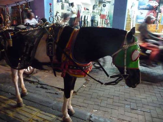 ホテルの近くを歩いている時、移動・観光用の馬車、ドッカルの運転手に声をかけられた。<br />一度くらい乗っておきたかったので値段交渉。<br />疲れてフラフラだったので半額に落ちたところで決定。rp.70000<br />たぶん頑張ればあと20000は落ちただろうが後悔はしない。<br />クタを一周してもらう事にした。