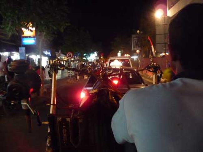 パカラっ　パカラっ<br /><br />とどこか切ない音を出しながら走るお馬たん…<br />足場の悪いバリの道路はガッタンガッタン揺れて、<br />乗り心地は決して良くはないけど、お馬たんが頑張ってくれているので我慢。<br /><br />暑い日中も走っていて大変だよね。<br />あたいらの運賃がニンジンになってくれれば良いのだが。