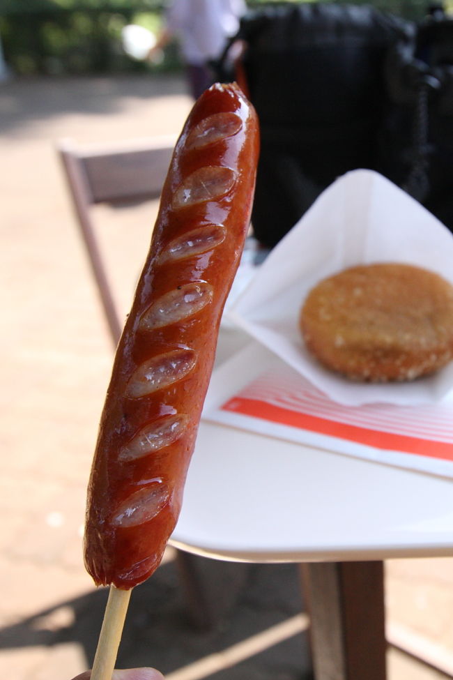 あ、そだ、腹が減っていたんだ・・。すっかり、夢中に・・。<br /><br />渓流広場前の売店で、粗挽きソーセージとカレーパンをいただきました。油×2してますが、今日はたくさん歩いているから気にすんな♪<br /><br /><br />