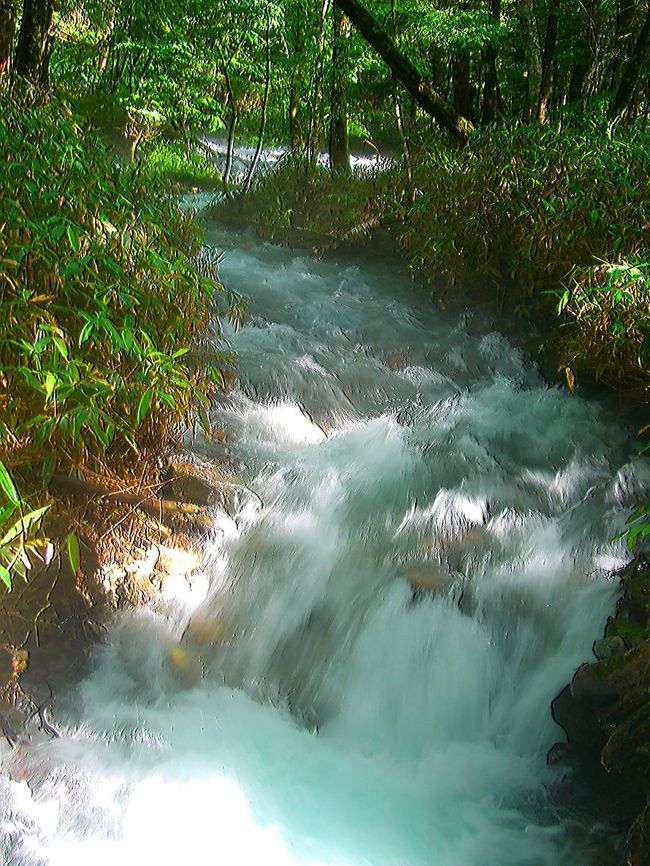 この時期は水量が多いですね。