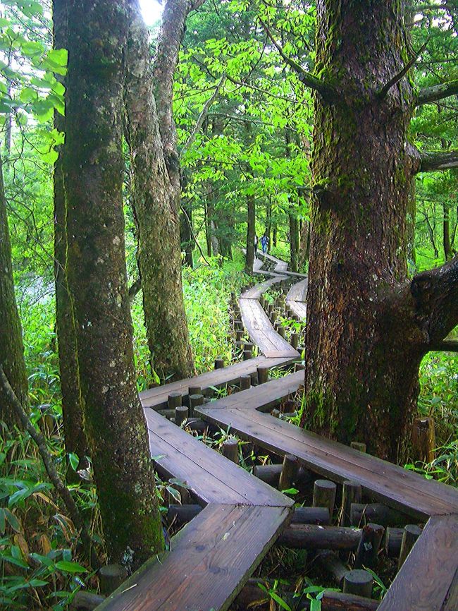 写真には写ってませんが、所々で川と並行しての森林浴はとても気持ち良いです。<br /><br /><br /><br />