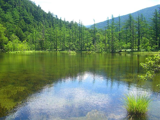 一之池のミラーレイク