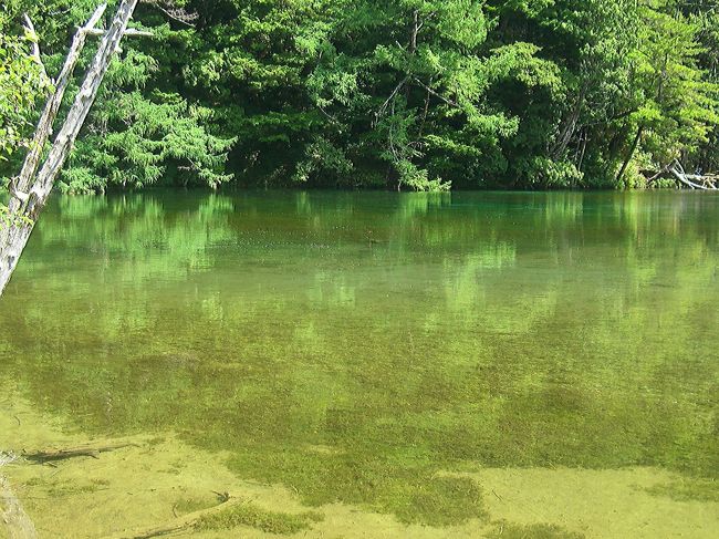 神秘的ですね〜