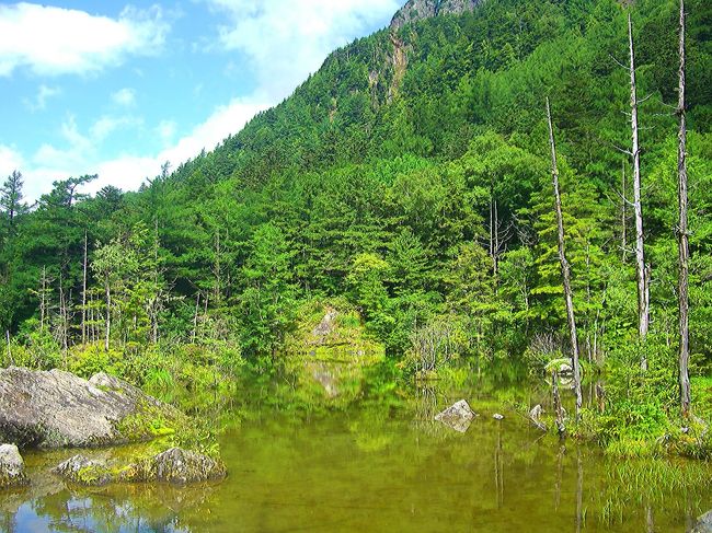 続いて二之池ですが、こちらは水面のいたる所に岩や草木が並び日本庭園のような感じに見えます。