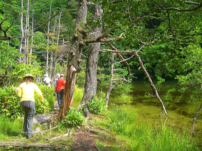 更に奥に進んでみましょう♪