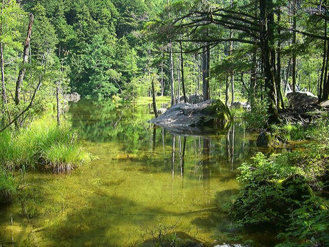 まさに天然の日本庭園ですね