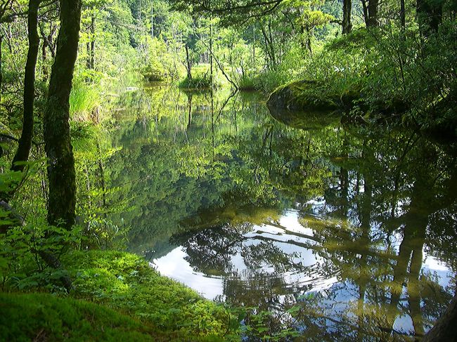 う〜んこれはもう天然の芸術<br /><br />満腹！
