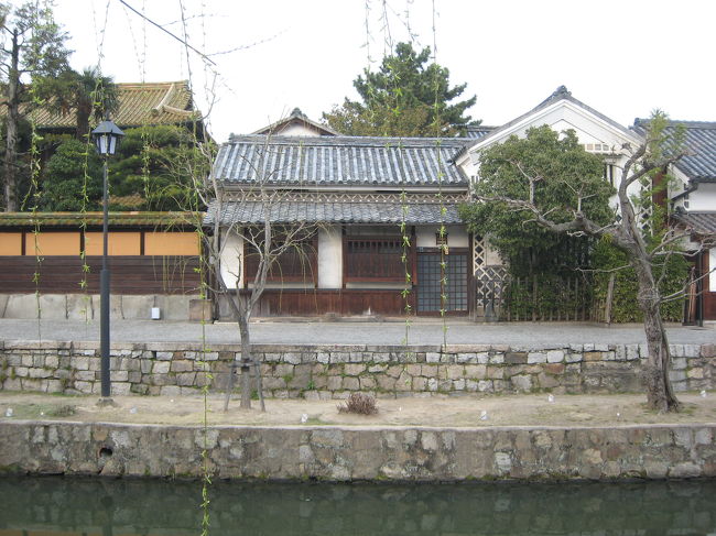 　いつの間にか倉敷川も船で行けるようになったんですね。<br />　倉敷川の白鳥も久しぶりに見ました。後々見ると代替わりしてたんですね。なんか残念じゃわ(´Д｀；)