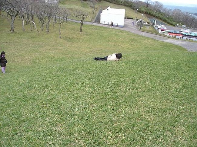 地球岬で転がる子