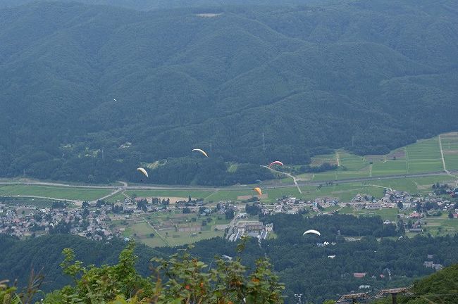 この日もパラグライダーがたくさん。