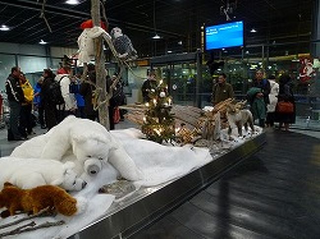 オーロラを求めて 美しすぎる国フィンランド フィンランドの旅行記 ブログ By きりきりさん フォートラベル