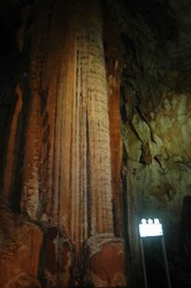 これも超有名！！な黄金柱。<br />秋芳洞の最大の見せ場？<br />高さ15m、幅4mで、天井の隙間から流れ出た地下水（の石灰分）が何万年もの歳月をかけて沈殿したもので、滝みたいにも見えますね。<br />ライトアップされて黄金色に光る様は圧巻で、この前が外せない記念写真のスポットになっております笑