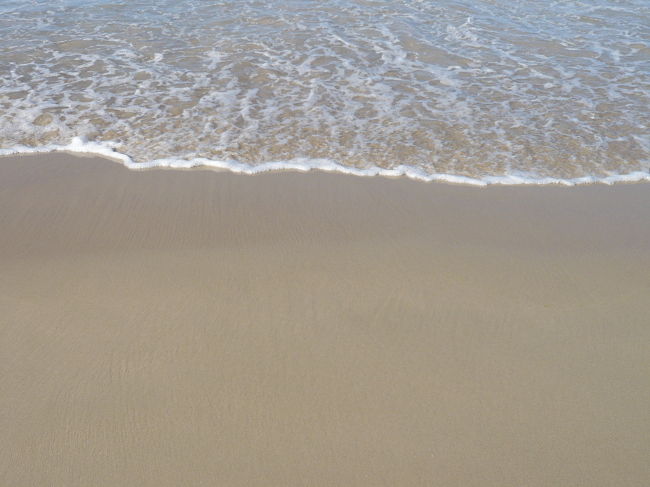 ゴミ一つ落ちてません！