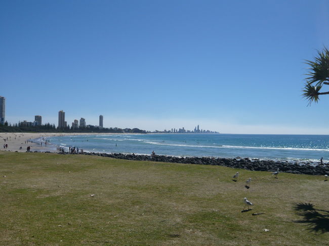 バーレーヘッズにて