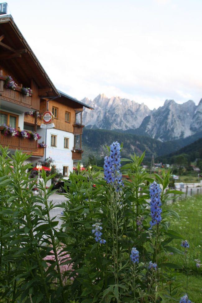 <br />続きはドイツ・オ―ストリアに行ってきました　ＮＯ1０（メルク）を御覧下さい