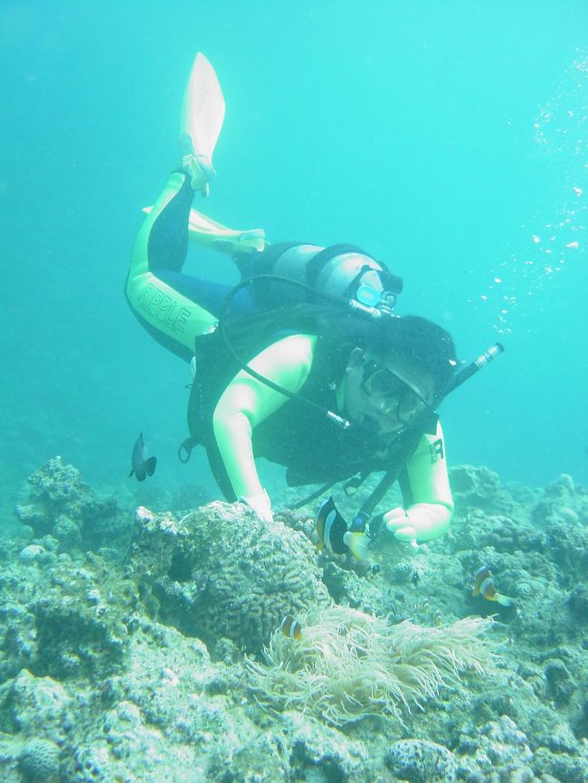 ニモとワタシ。<br />１１年のブランクあっての１本目、魚と戯れているようで実はかなり「必死」に浮力コントロール中・・・