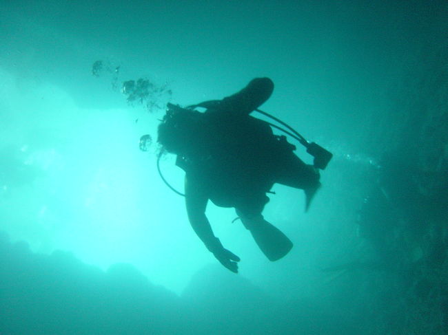 ２日目も真栄田岬、今度はボートダイブで「青の洞窟」へ。<br />朝の、透明度が高い時間帯に入った洞窟は、下から見てもキレイな青。