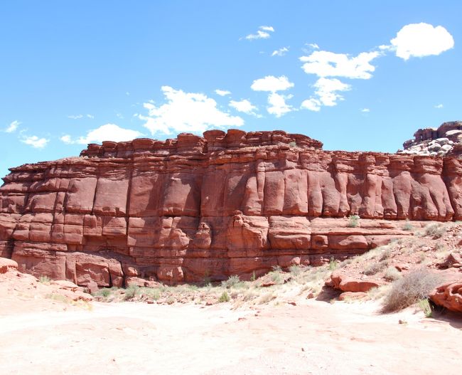 ヒトの足が並んでいるように見える岩。<br /><br /><br />不思議な感じ。