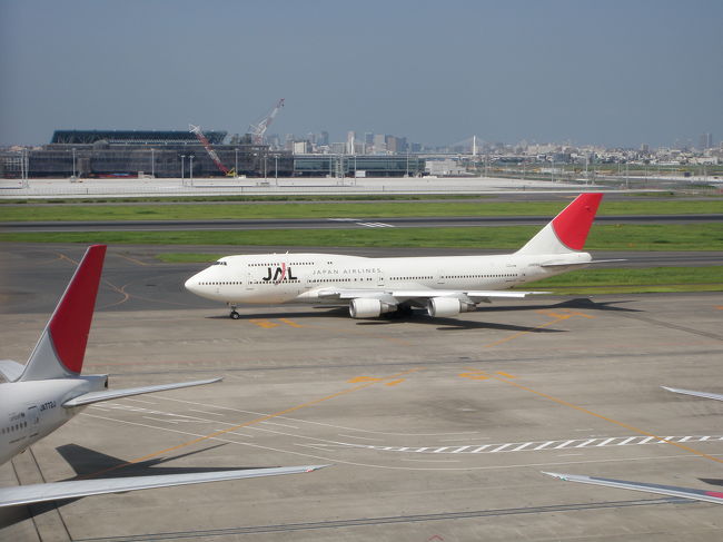 せっかく羽田に来たんだから、飛行機でしょ〜<br />っという訳で子供たちが飽きてしまう前に、<br />定番の展望デッキへ