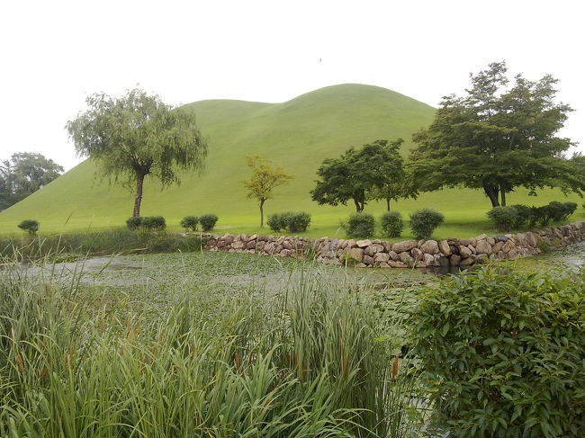仏国寺のあといくつかの見どころを回った最後が、慶州駅近くにある古墳公園。<br />本当に古墳だらけでした。<br />バスターミナルに戻ってもらい、夕方釜山へ。<br />韓国滞在中、唯一？観光らしい観光をした１日でした。