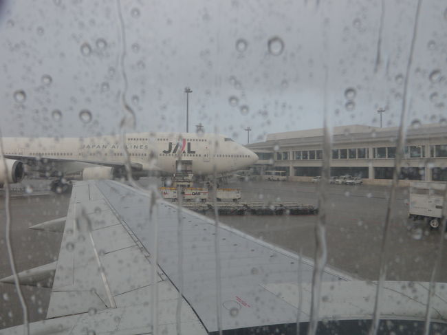 何、この大雨(゜o゜)<br />さっきまであんなにいい天気だったのに…<br /><br />なんとゲリラ豪雨に遭遇!!<br />飛行機の給油が終わり、飛行機に乗り込んだ後<br />雨がひどいため離陸できず、<br />40分近く待たされたのでした。<br /><br /><br /><br />